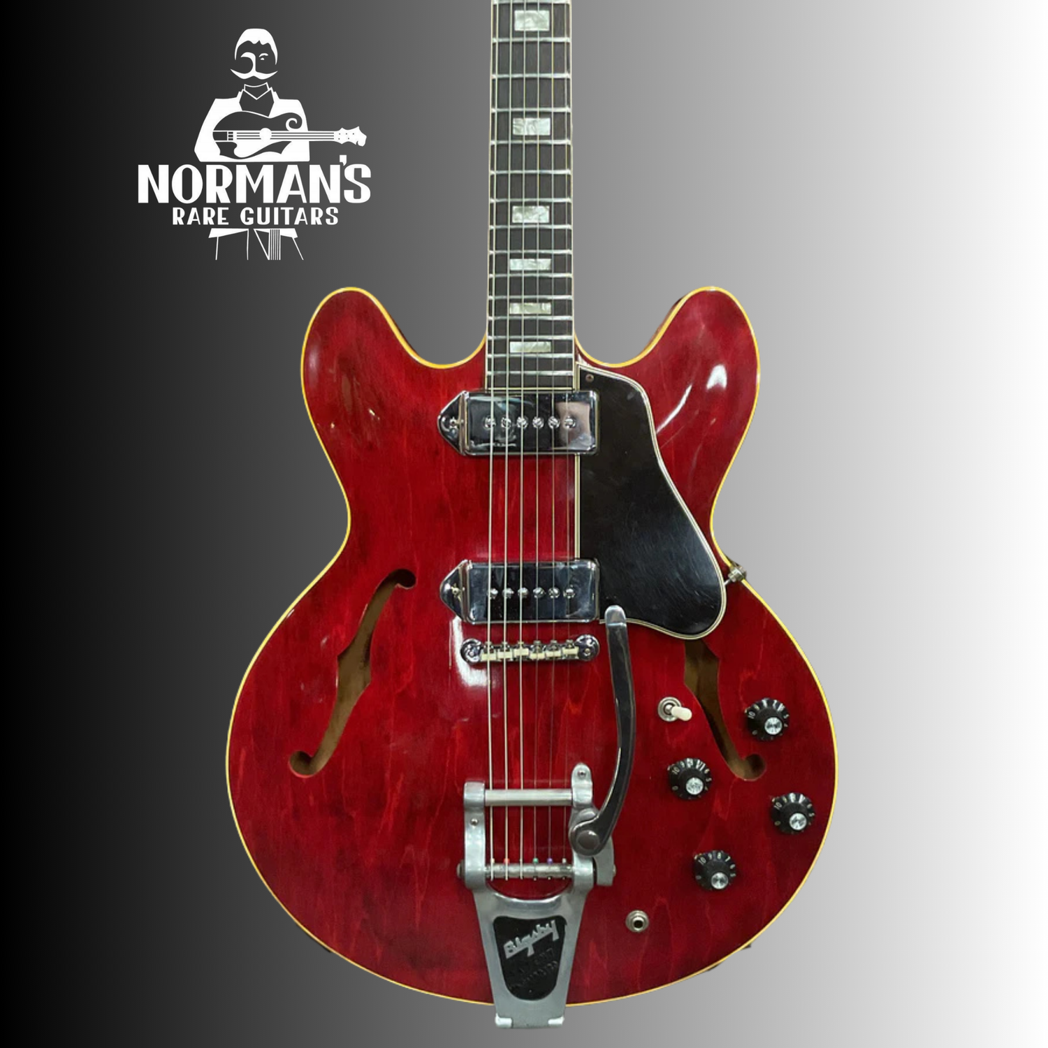 Electric Semi-Hollow / Thin Body
