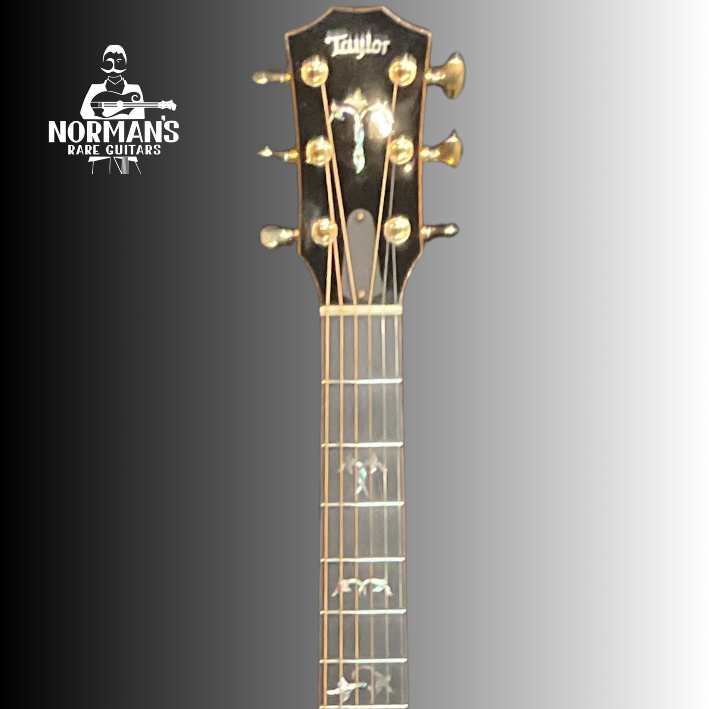 2012 Taylor 916CE Acoustic Electric Natural