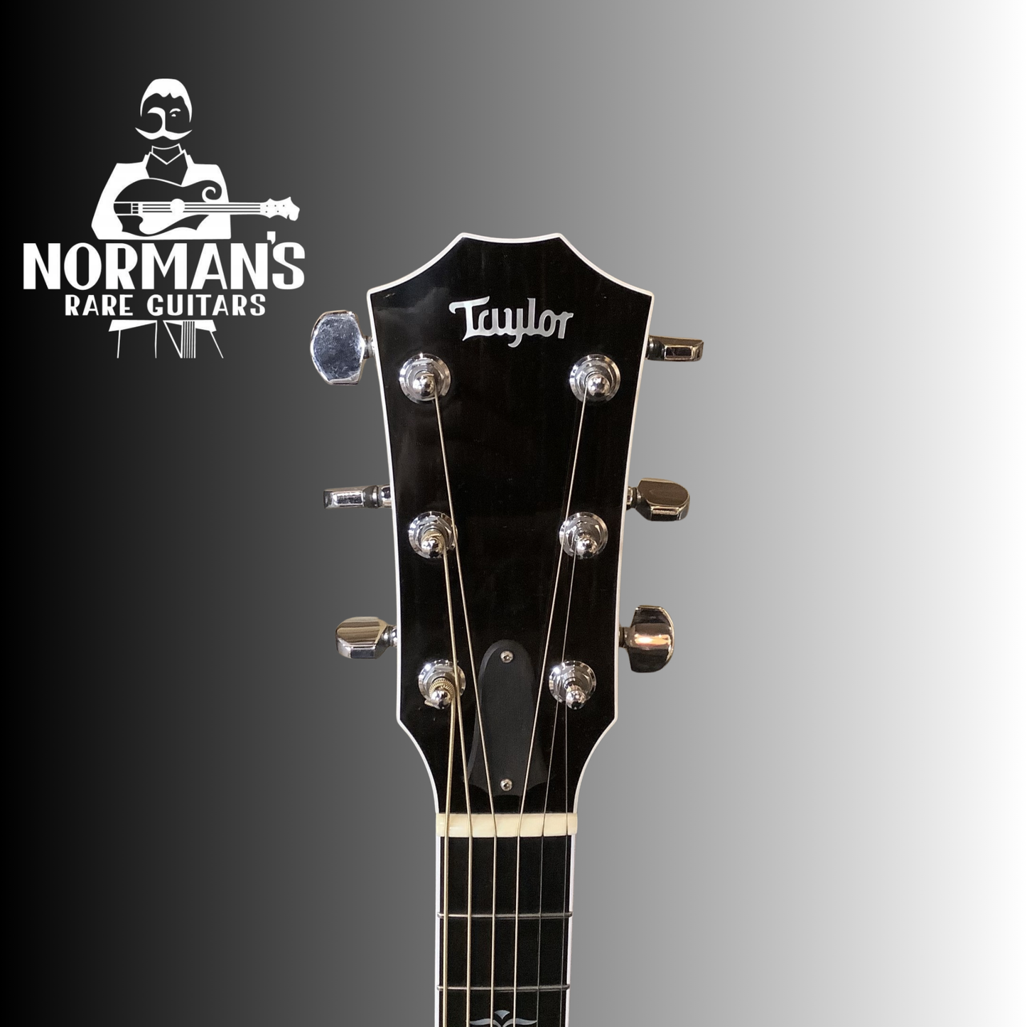 Taylor 614 Black Non-Cutaway