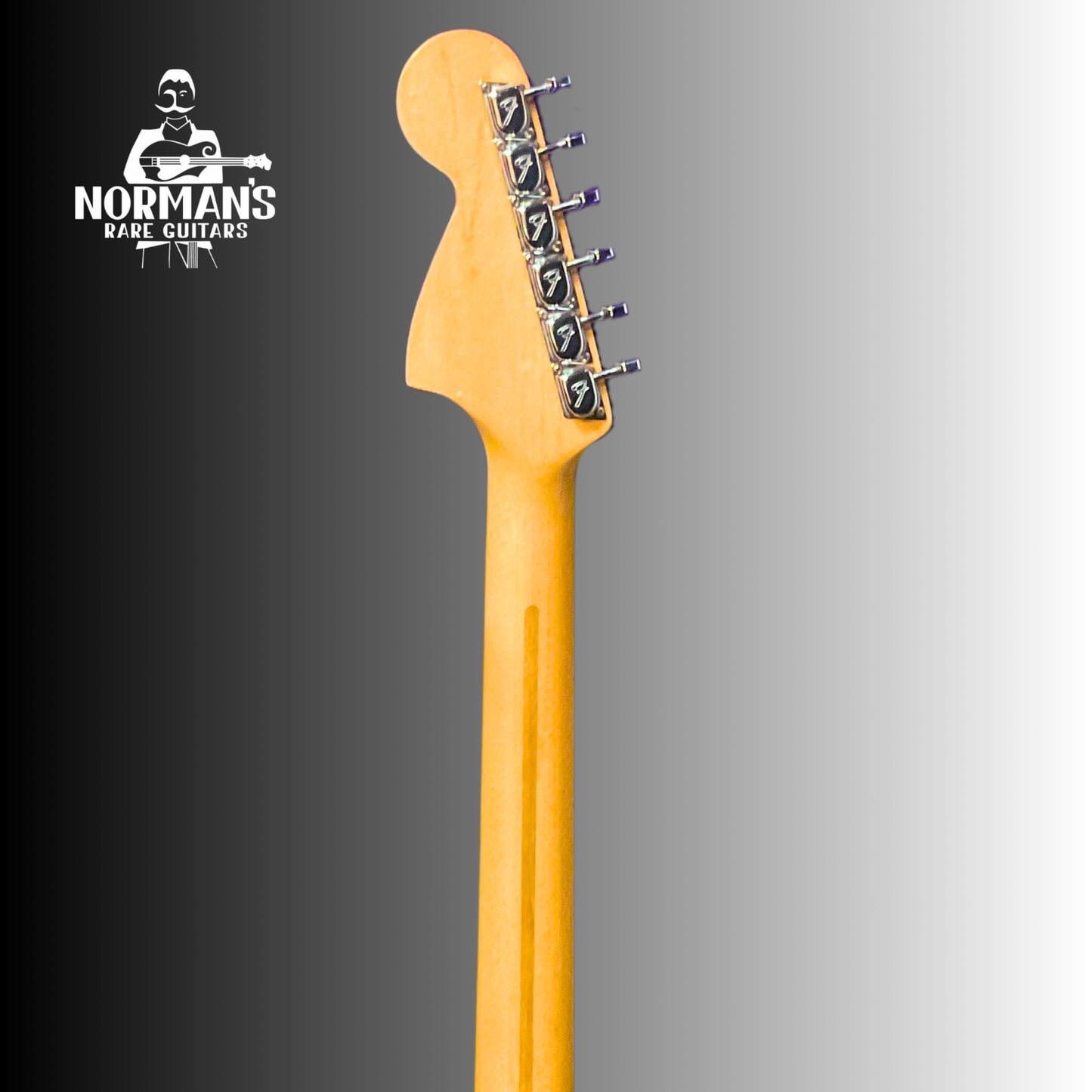 1977 Fender Stratocaster Hardtail Maple Neck Black