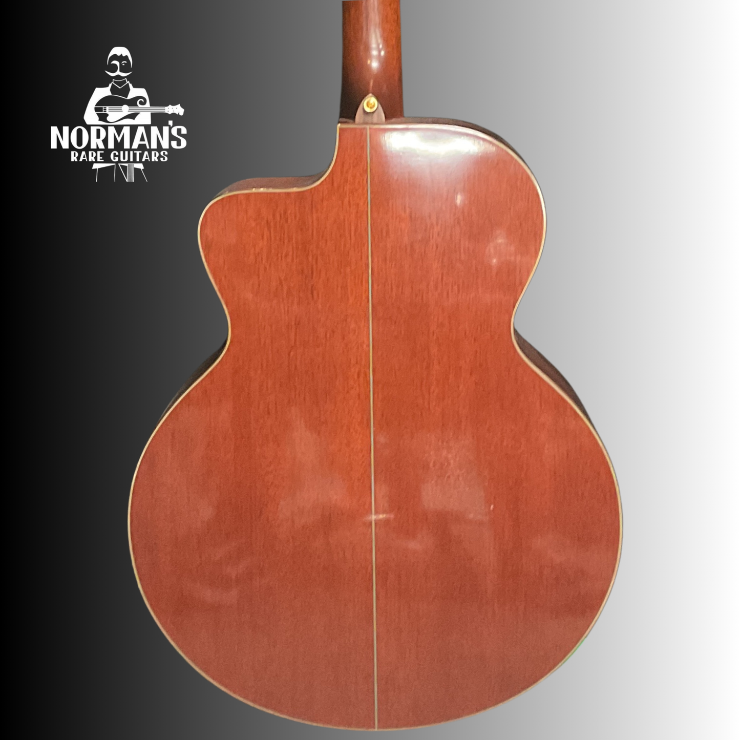 Taylor Leo Kottke Acoustic Jumbo 12 String Natural