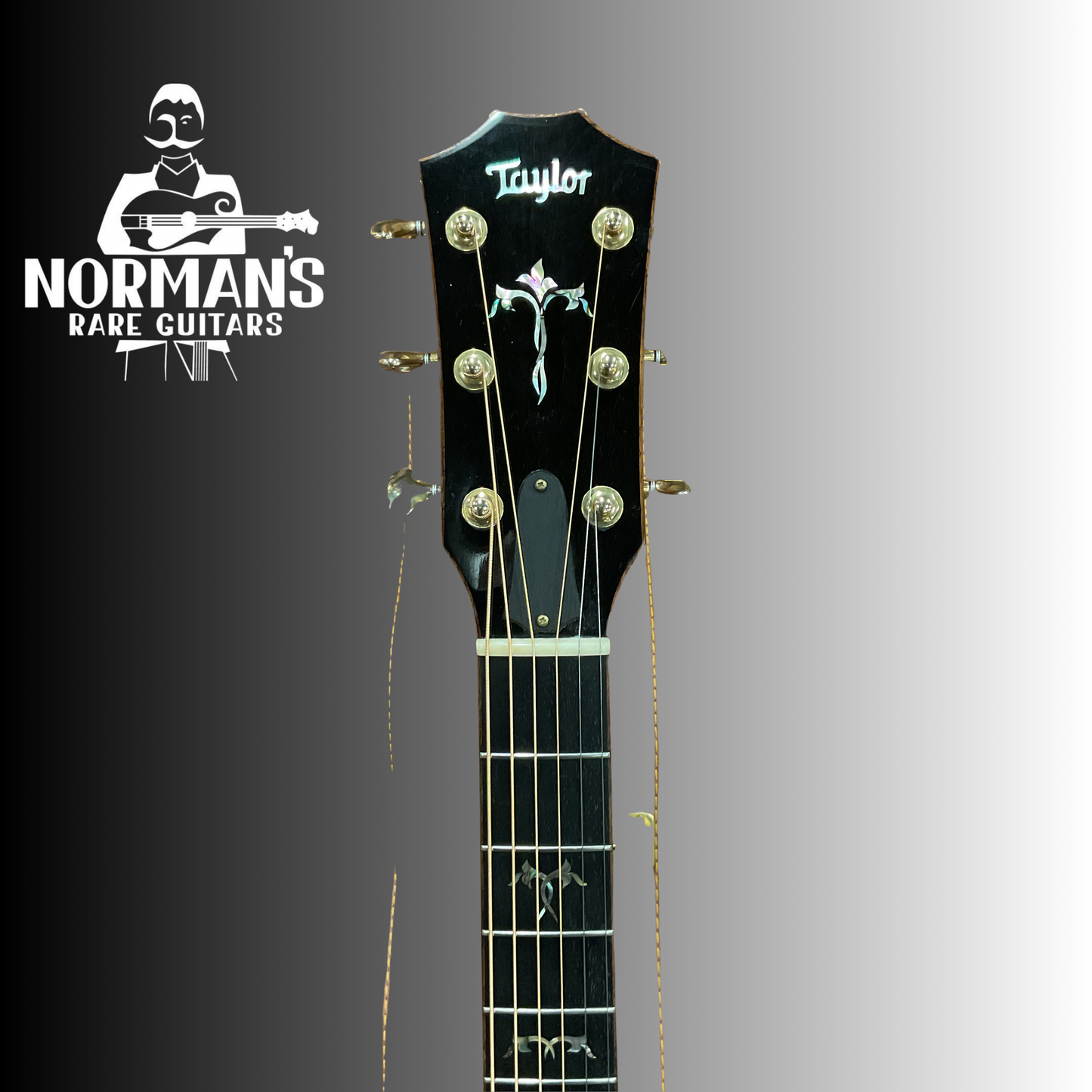 2012 Taylor 916 CE AE Great Player!