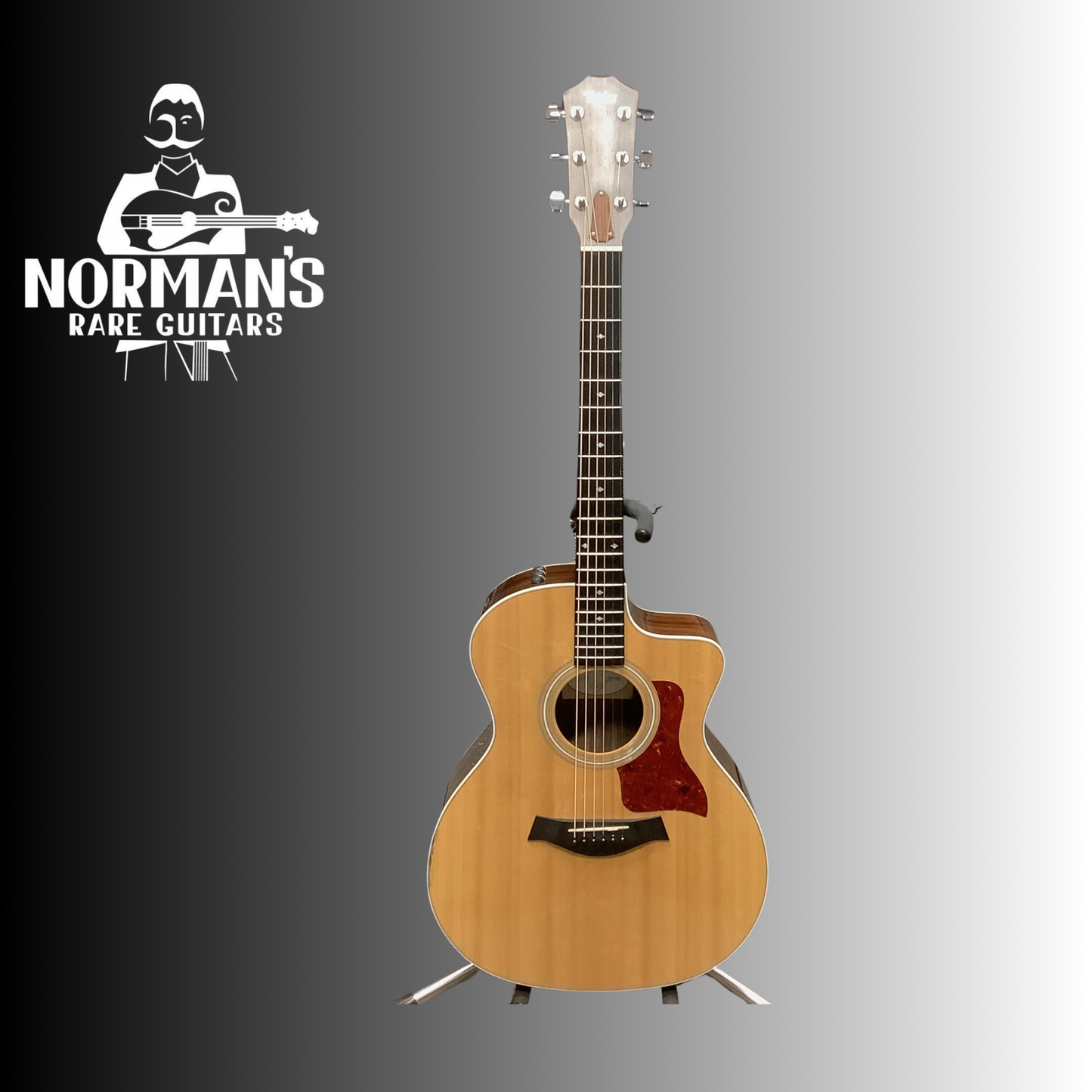 2011 Taylor 214CE-DLX