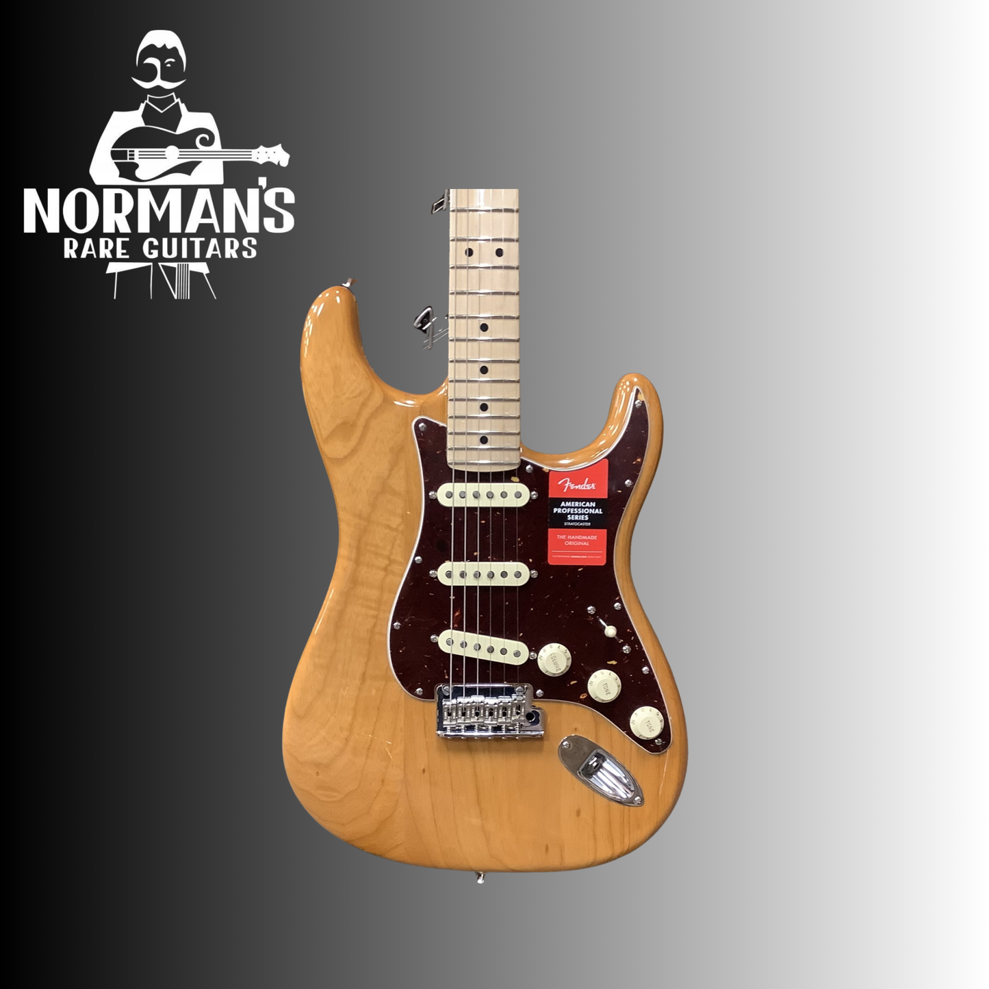 Fender American Professional Series Stratocaster Ash