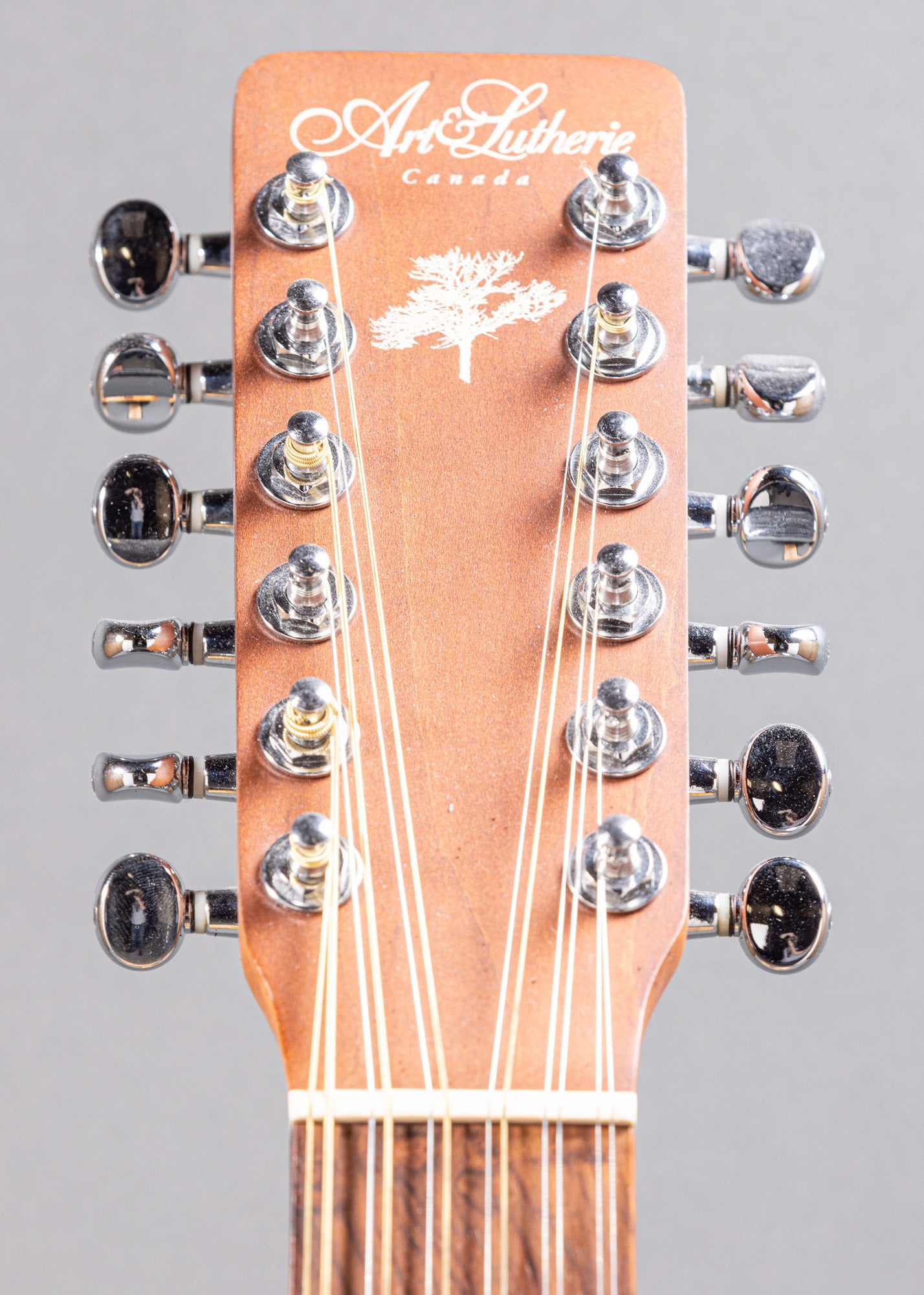 Godin Art & Lutherie 12 String Acoustic Wild Cherry