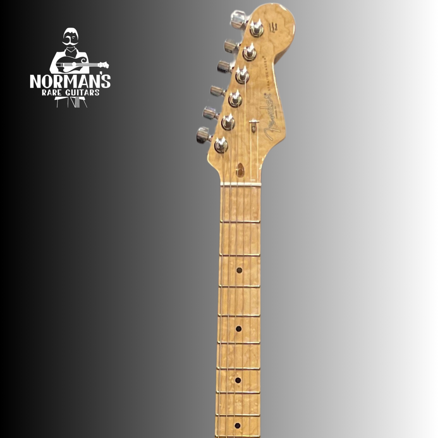 2017 Limited Edition Stratocaster Shedua Top