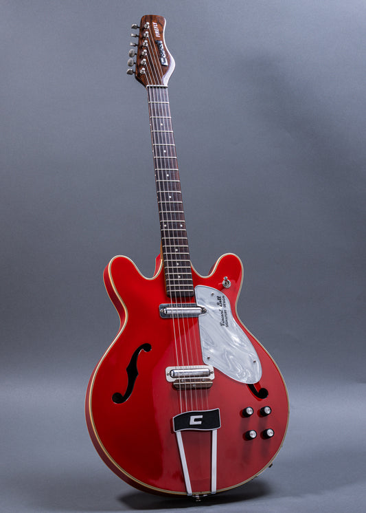 Coral Firefly Vincent Bell