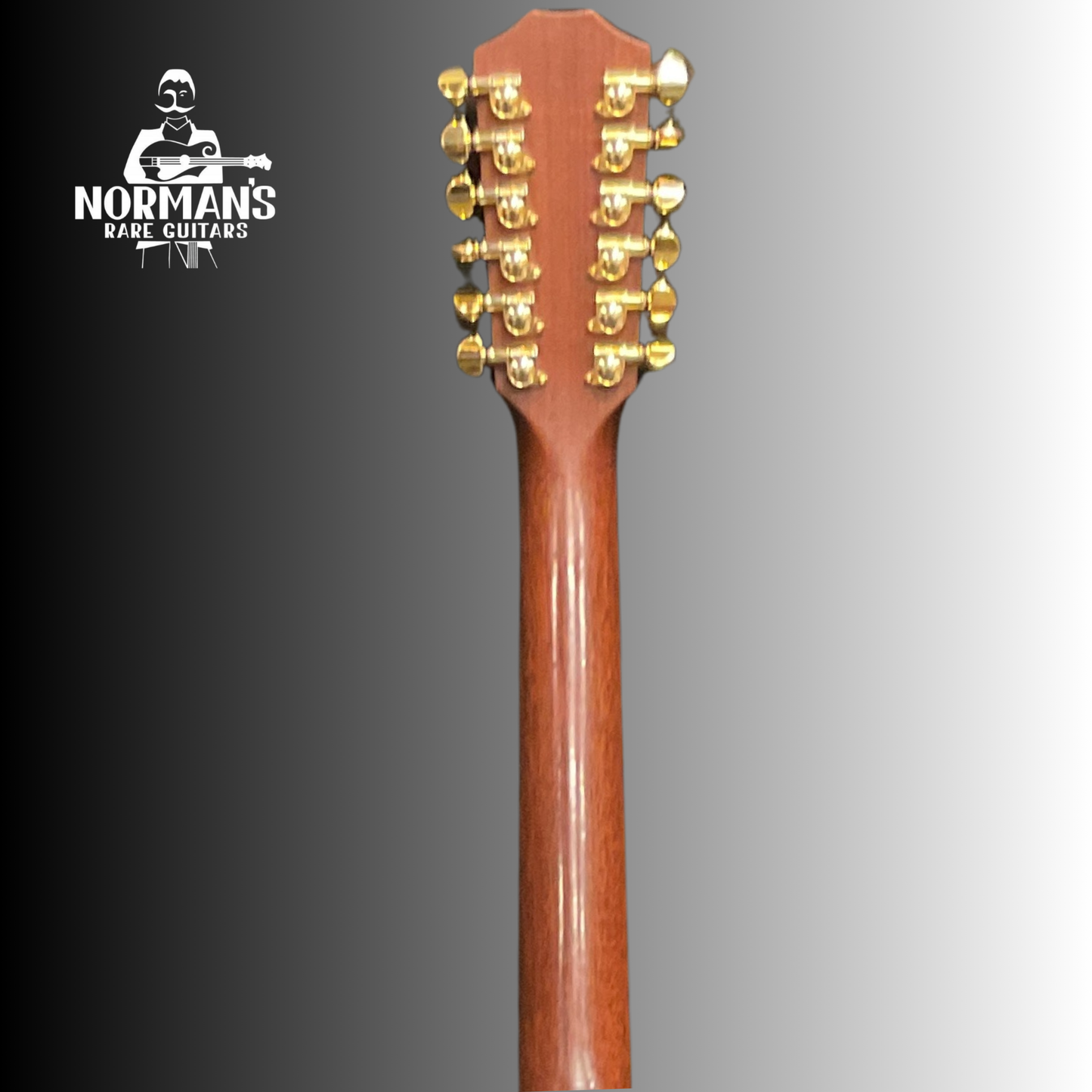 Taylor Leo Kottke Acoustic Jumbo 12 String Natural