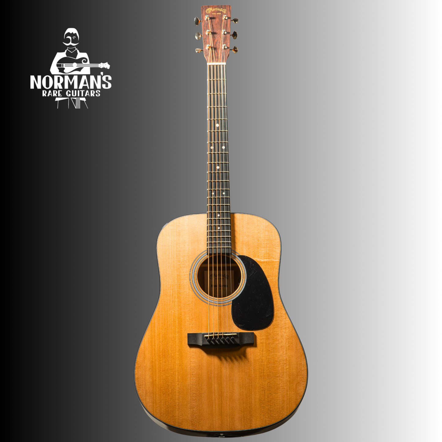 Martin D-12E Sapele Acoustic-Electric Guitar