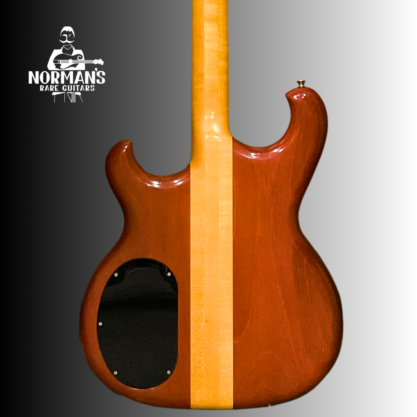 1986 Alembic Persuader Bass Natural