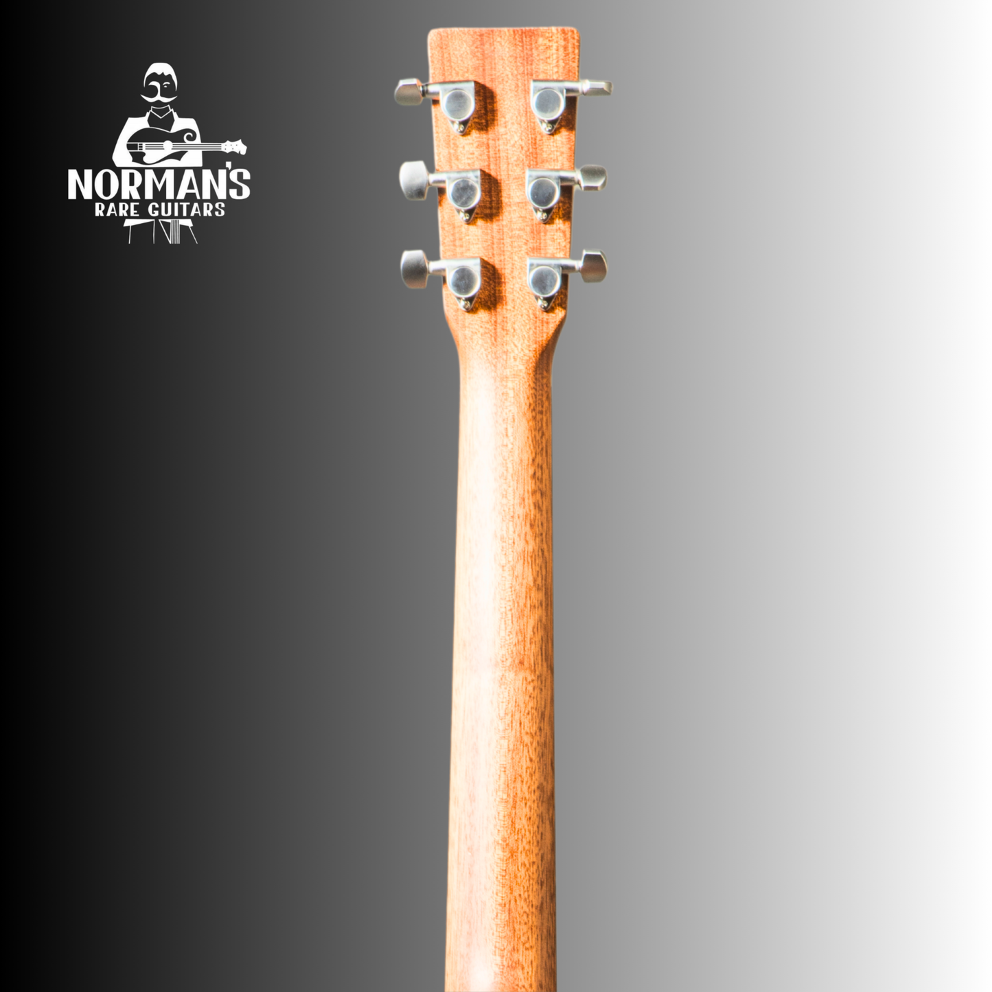 Martin D Jr E Acoustic-Electric Guitar