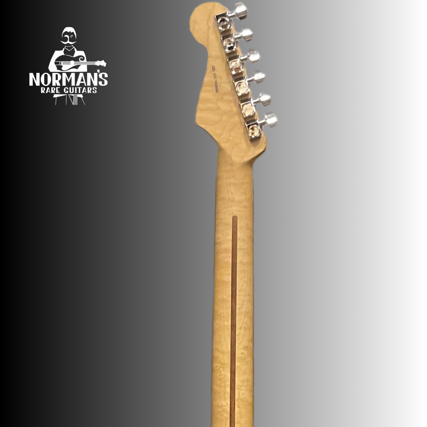 2017 Limited Edition Stratocaster Shedua Top