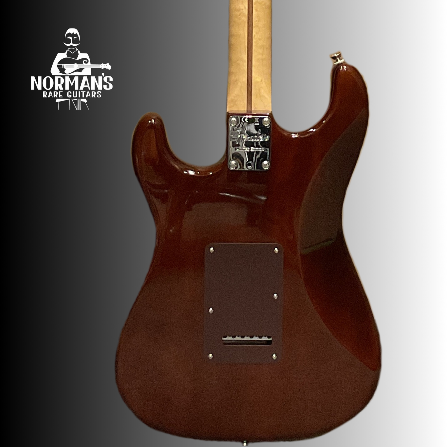 2017 Limited Edition Stratocaster Shedua Top