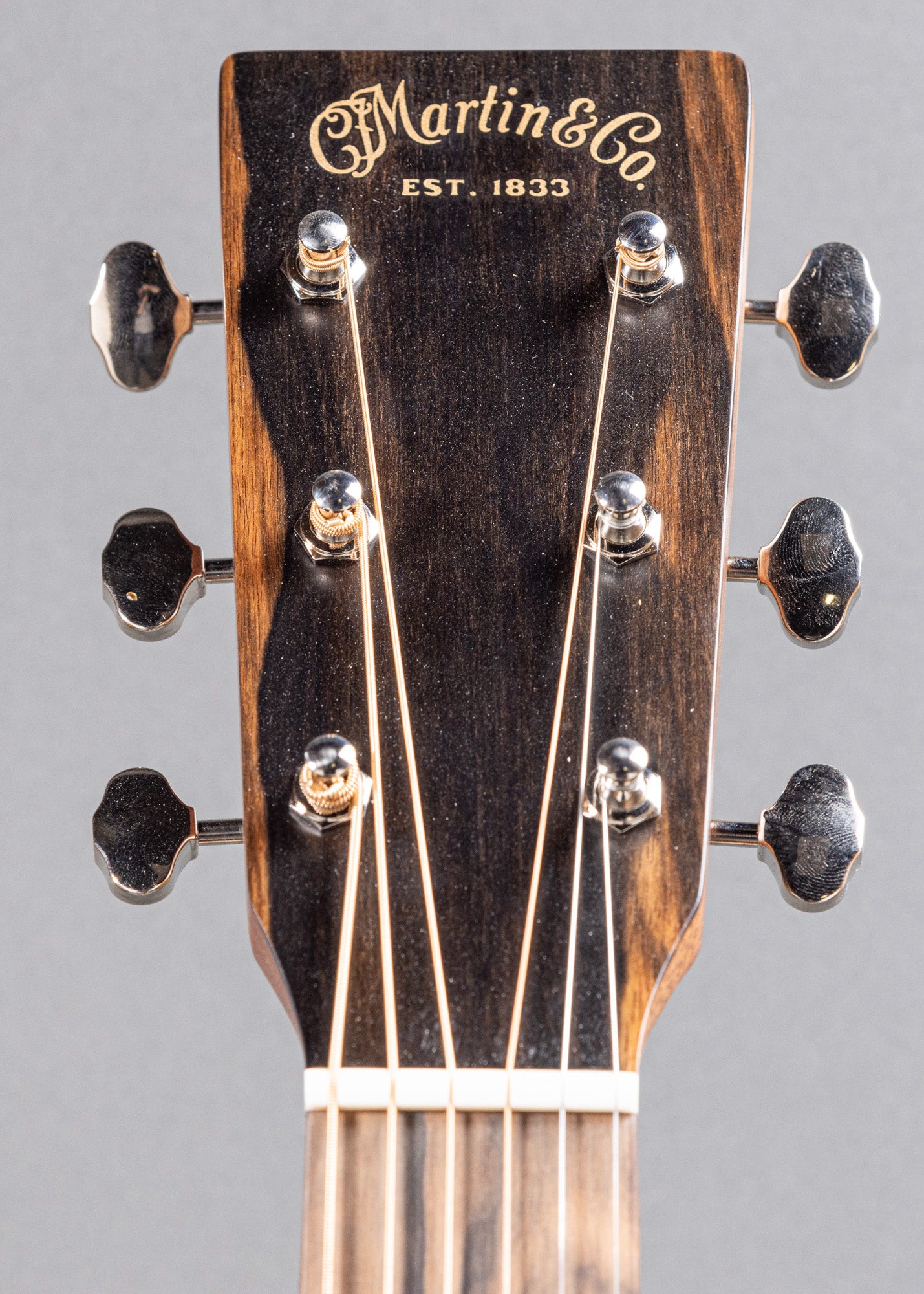 Martin DX2E Billy Strings