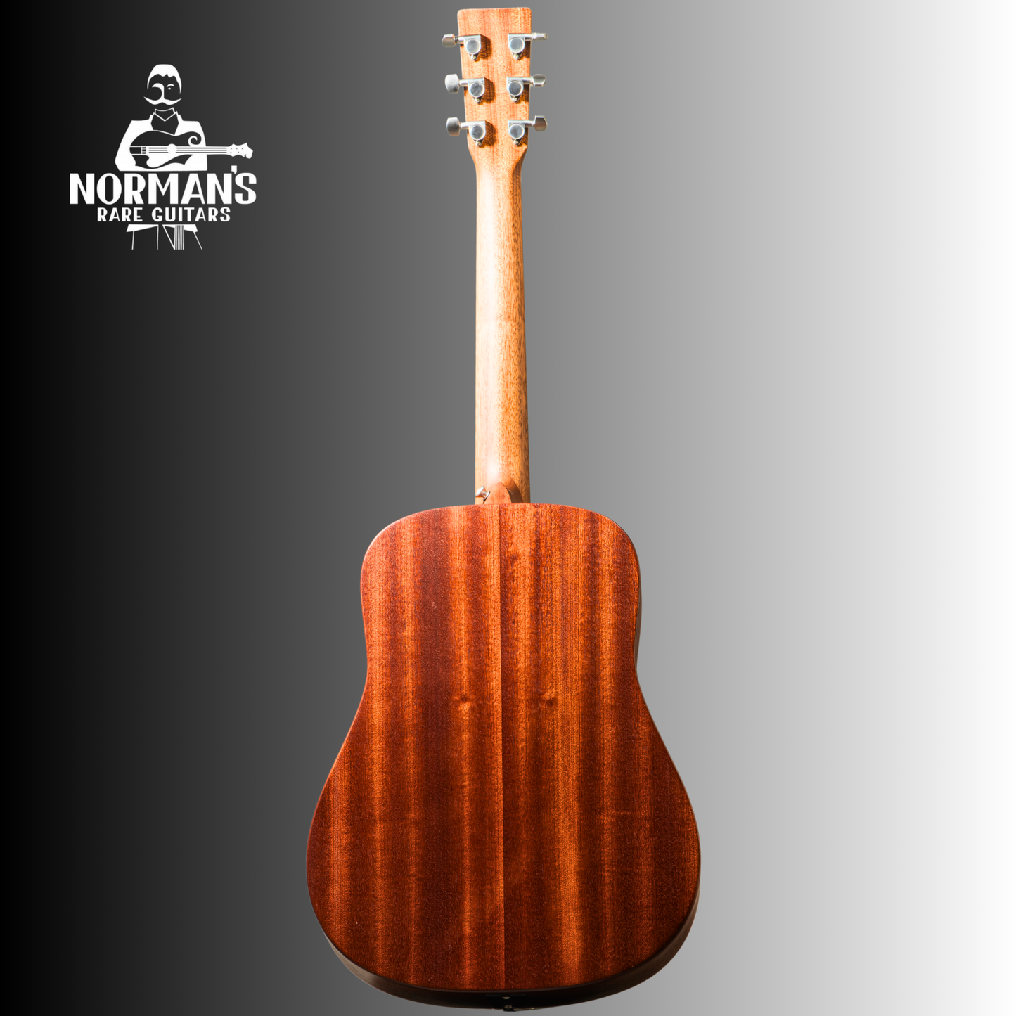 Martin D Jr E Acoustic-Electric Guitar