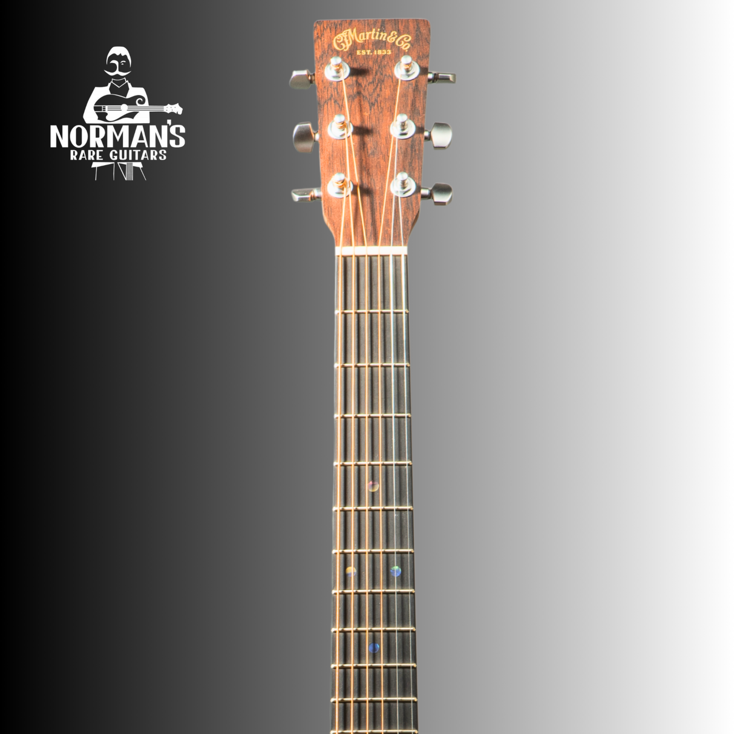 Martin D Jr E Acoustic-Electric Guitar