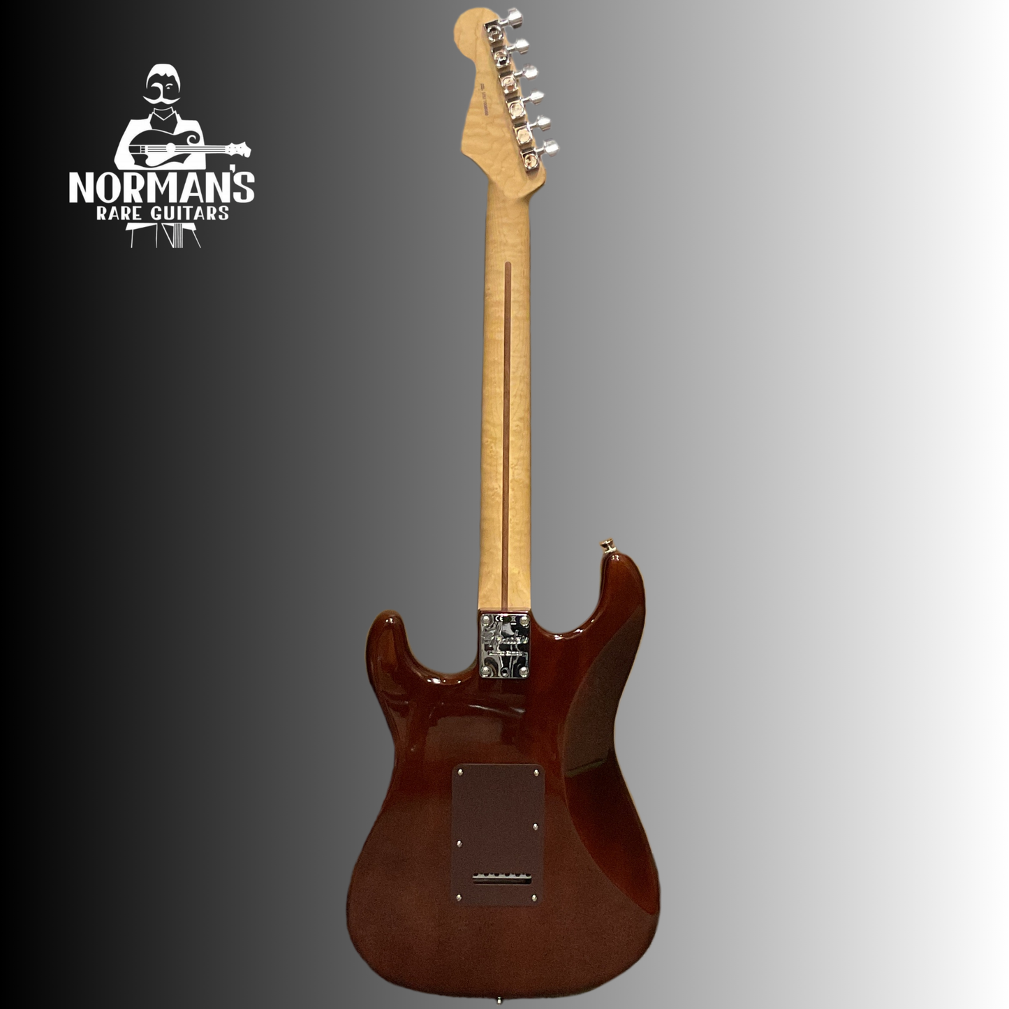 2017 Limited Edition Stratocaster Shedua Top