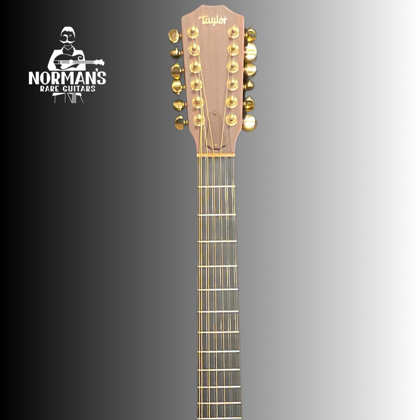 Taylor Leo Kottke Acoustic Jumbo 12 String Natural