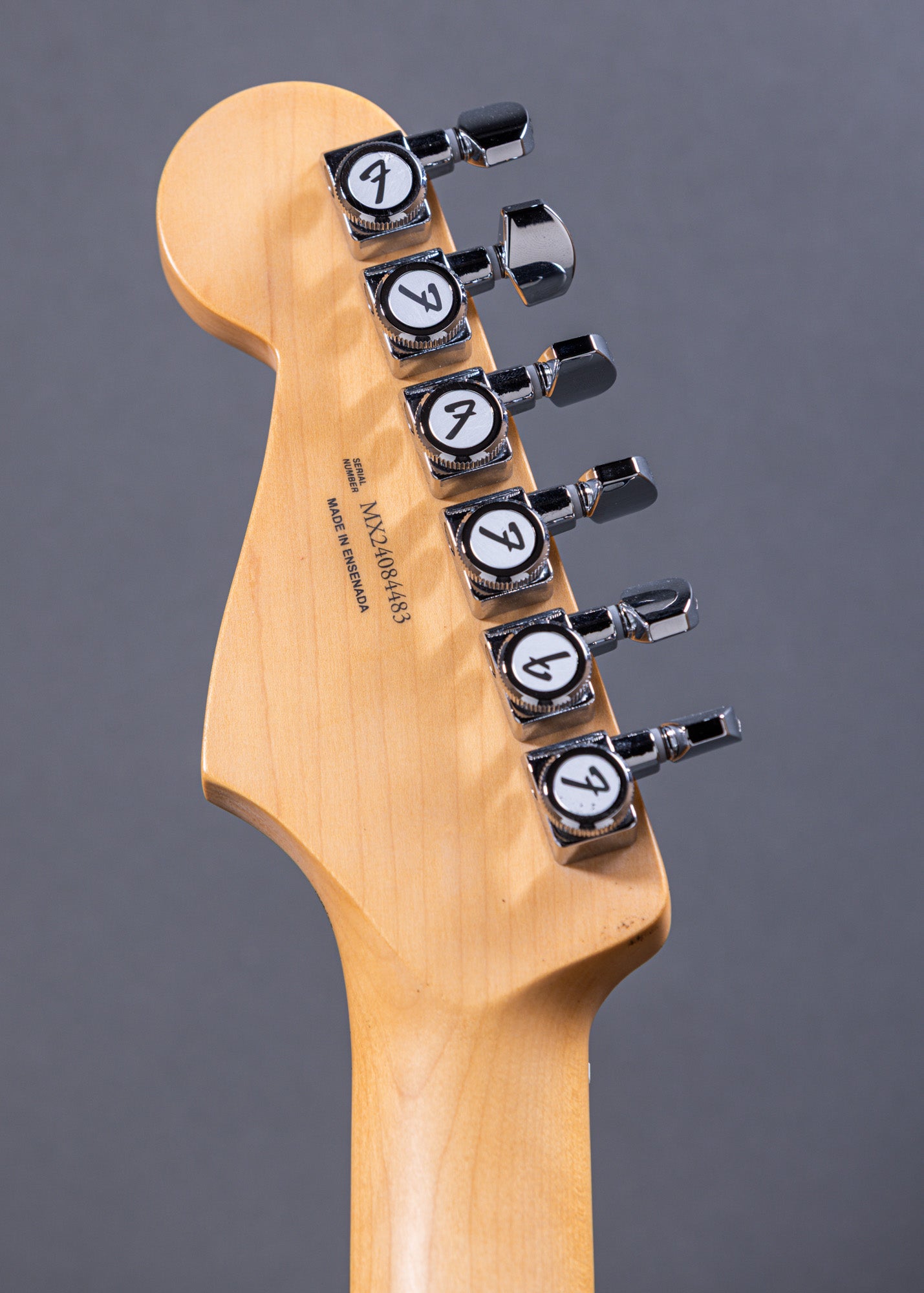 Fender Stratocaster Player Series Stratocaster