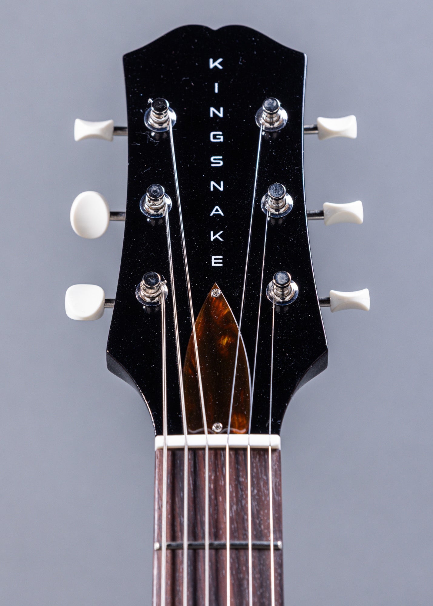 Kingsnake Gray Viper 2 pu