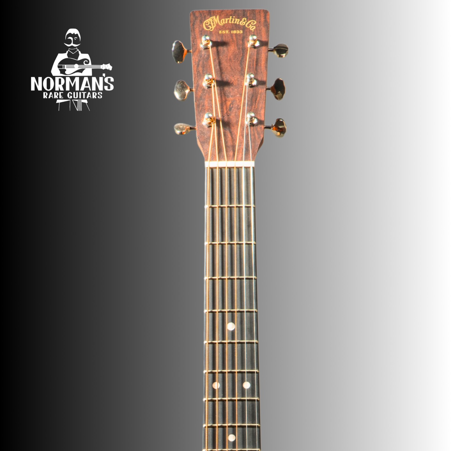 Martin D-12E Sapele Acoustic-Electric Guitar