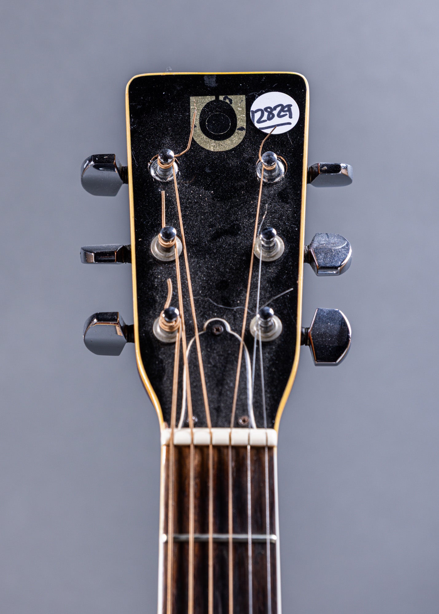 Univox Acoustic Dreadnaught